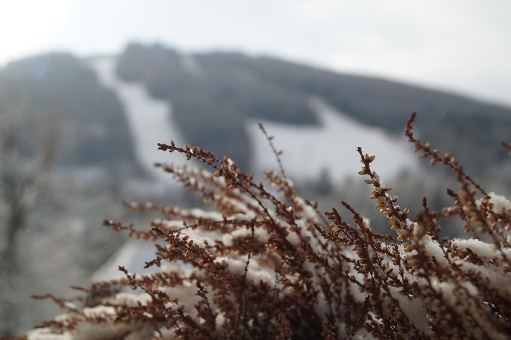 Belvedere Hotel Semmering Bagian luar foto